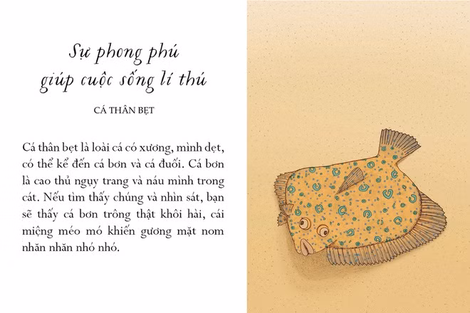 Cá thân bẹt là loài có xương, mình dẹt. Khi còn là những chú cá con lon ton giữa đám sinh vật phù du, chúng cũng có mỗi mắt nằm ở một bên đầu như bao loài cá thông thường. Lớn lên, con cá trải qua giai đoạn biến đổi kỳ lạ: Cả hai mắt của nó cùng nằm tại mặt trên của cơ thể. Cá bơn là cao thủ ngụy trang và náu mình trong cát. Nếu tìm thấy chúng và nhìn sát, bạn sẽ thấy cá bơn trông thật khôi hài, cái miệng méo mó khiến gương mặt nom nhăn nhăn nhó nhó.