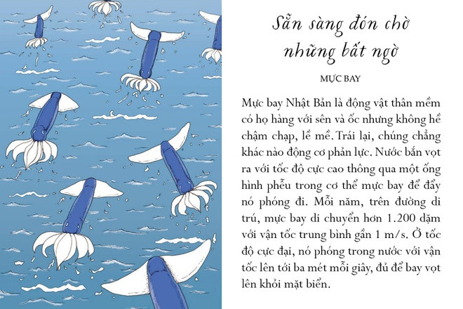 Mực bay Nhật Bản là động vật thân mềm có họ hàng với sên và ốc nhưng không hề chậm chạp, lề mề. Trái lại, chúng chẳng khác nào động cơ phản lực. Nước bắn vọt ra với tốc độ cực cao thông qua một ống hình phễu trong cơ thể mực bay để đẩy nó phóng đi. Mỗi năm, trên đường di trú, mực bay di chuyển hơn 1.200 dặm với vận tốc trung bình gần 1 m/s. Ở tốc độ cực đại, nó phóng trong nước với vận tốc lên tới 3 m/s, đủ để bay vọt lên khỏi mặt biển. Do lực cản của không khí kém hơn nước, mực bay có thể đạt tới tốc độ hai 25 dặm một giờ và chạy thoát khỏi bất kì kẻ săn mồi nào.