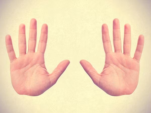 Nếu đường này là một đường thẳng có độ dài vừa phải thì bạn rất khôn khéo trong việc quản lý tài chính và chăm sóc người khác. 