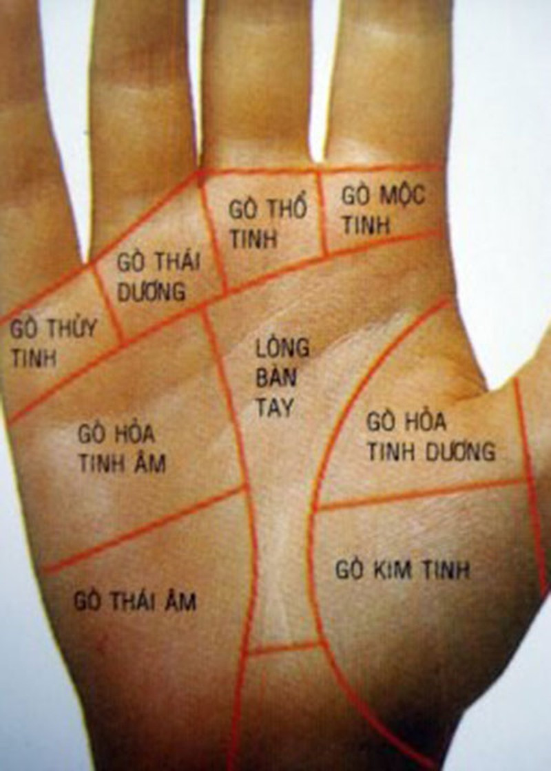 Đồng thời đây cũng là người biết giữ tiền, số tiền kiếm được tiêu cả đời không hết.