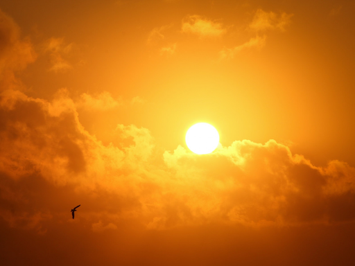 Theo Tiến sĩ Colin Raymond tại NASA, nếu độ ẩm thấp nhưng nhiệt độ cao hoặc ngược lại, nhiệt độ bầu ướt có thể sẽ không đạt đến điểm giới hạn của cơ thể người. Nhưng nếu cả độ ẩm và nhiệt độ đều rất cao, nhiệt độ bầu ướt có thể tăng lên mức nguy hiểm với con người.