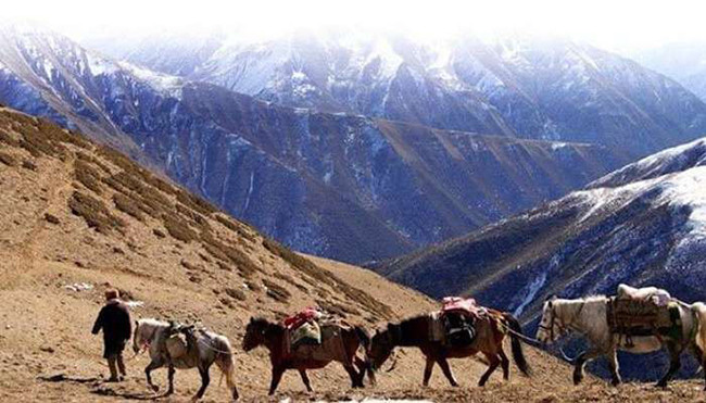 Đèo Kongka La: Với độ cao 5.172m, đèo Kongka La là một trong những nơi ít người đặt chân tới nhất Ấn Độ. Tuy nhiên, điều khiến nơi này trở nên bí ẩn là có nhiều người dân báo cáo rằng họ đã nhìn thấy người ngoài hành tinh xuất hiện trên đèo.