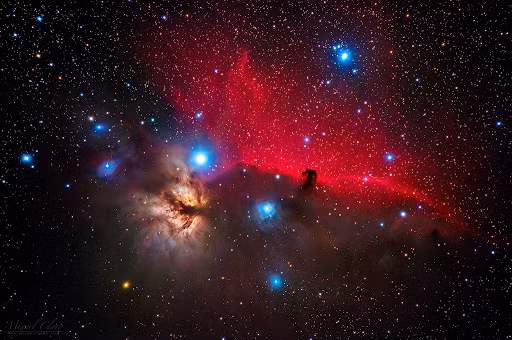 Tinh vân Đầu ngựa. Tinh vân Đầu ngựa là một phần của Tổ hợp Đám mây Phân tử Orion. Ngôi sao sáng nhất trong hình ảnh này thuộc vành đai của Orion, bên phải là đám mây đen của tinh vân Đầu ngựa. Giống như tinh vân Cone, sự hình thành khí này nuôi dưỡng các ngôi sao đang phát triển.