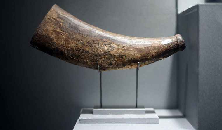 Chiếc tù và được ông Võ Văn Thực (phường 14, quận Tân Bình) dùng để báo động cho nhân dân trong vùng mỗi khi có giặc đến trong giai đoạn cách mạng 1940-1845 ở Sài Gòn.