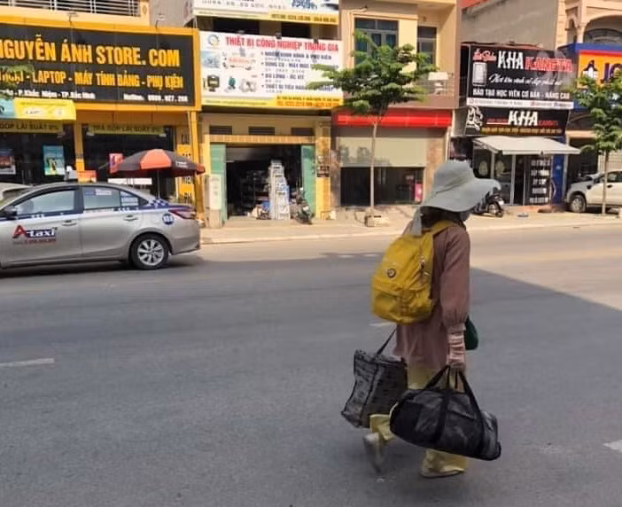 Dư luận đặt câu hỏi, liệu Bella có tái bệnh khi vẫn đi lang thang.