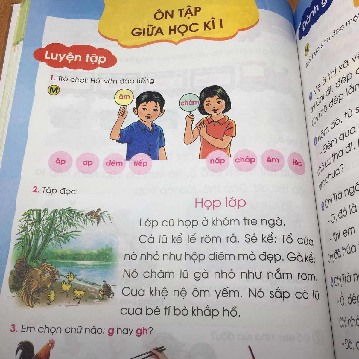 Bài đọc "Họp lớp" cũng bị nhận xét rằng trẻ con sẽ chẳng hiểu gì, vì lớp 1 chưa có khái niệm về chuyện này.