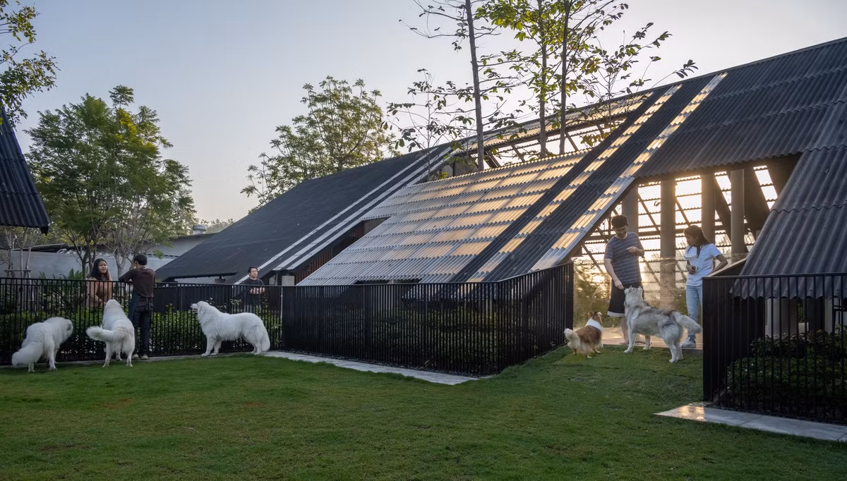 Thiet ke nha mai Thai cho gia dinh thich nuoi thu cung-Hinh-4