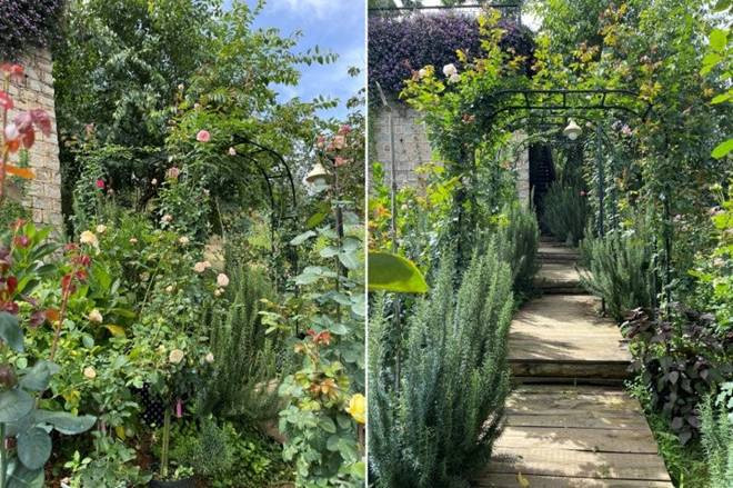 Chàng trai bỏ TP.HCM lên Đà Lạt trồng vườn hoa hồng 2.000m2 - Hình 9 Chang trai bo TP.HCM len Da Lat trong vuon hoa hong 2.000m2-Hinh-9