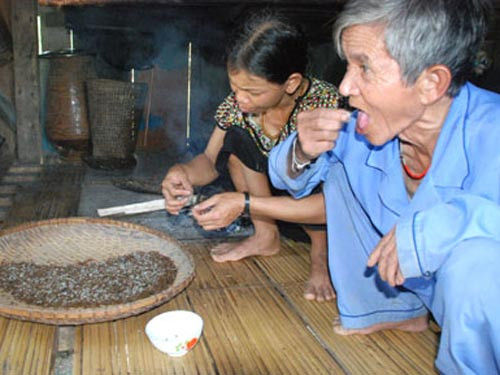 Sàng sạch lá bị cháy trong kiến đến khi kiến và trứng kiến sạch nhẵn. Sau đó bắt đầu thưởng thức món kiến và trứng kiến chấm muối.