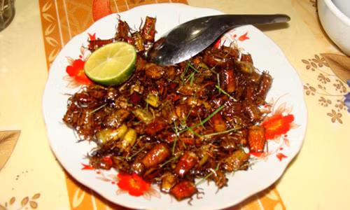 Sau đó đảo đều trên chảo lửa cùng lá chanh. Dù vậy, mùi của bọ xít rừng vẫn rất hôi, nên phải ăn kèm với một loại lá thơm đặc trưng của vùng Mường La là "húng đá".