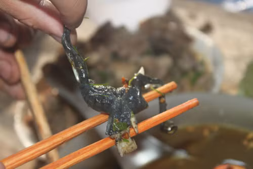 Tuy nhiên, theo những người dân tộc Thái bản địa thì món "nòng nọc" là món ăn sạch sẽ và nhiều dinh dưỡng nhất. Phụ nữ Thái sau khi sinh thường được tẩm bổ bằng món "nòng nọc" này.