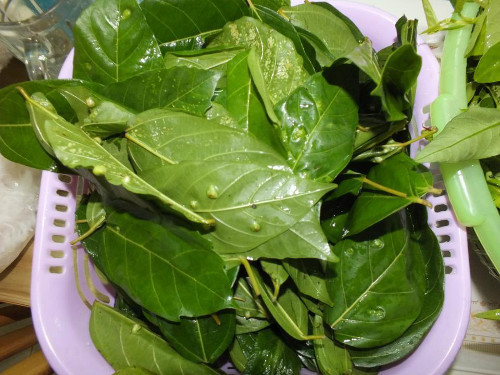 Thịt được ủ kín, phần thịt ngon bị chín bởi ánh nắng sẽ không tan mà đóng cục. Khi ủ thịt được khoảng 10 ngày, người ta mở ra và cho vào đó một ít thảo dược. Nếu có khách quý, món thịt thối sẽ được lấy ra nấu chín cùng rêu suối, cơm nguội và ăn kèm với lá sung.