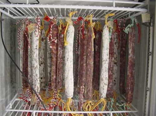 Xúc xích làm từ phân trẻ em. Các nhà khoa học Tây Ban Nha khẳng định phân trẻ em có mùi vị rất tuyệt vời khi chế biến thành món xúc xích. Thực chất người ta chỉ tách các vi khuẩn đường ruột có lợi từ đây sau đó đem lên men cùng thịt sống hoặc sử dụng trong quá trình sản xuất.