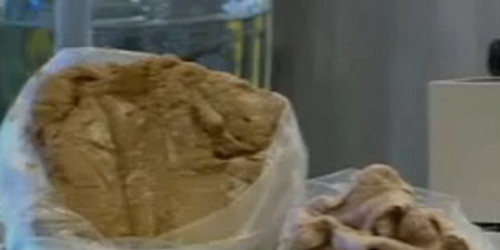 Kể từ đó, ông bắt đầu thực hiện việc lấy các protein có lợi và làm thành những miếng thịt. Kết quả của quá trình nghiên cứu là ông đã tạo ra những miếng thịt có hương vị giống với thịt bò.