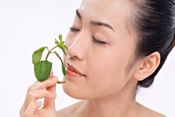 3. Dùng bạc hà. Có thể là đốt tinh dầu, súc miệng nước bạc hà để làm ngăn chặn cơn thèm ăn của bạn. Một nghiên cứu được công bố trên Tạp chí Y tế Thần kinh và Chỉnh hình cho thấy, những người ngửi hương bạc hà 2 giờ mỗi lần có thể giảm trung bình hơn 2 kg mỗi tháng.