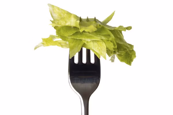 5. Ăn chay thuận theo thiên nhiên. Để thuận theo phương pháp ăn kiêng này, bạn sẽ phải tuyệt giao hoàn toàn với đường, thịt và các sản phẩm từ sữa, chỉ ăn các loại rau, ngũ cốc nguyên hạt, đậu, các loại hạt hay hạt giống. Tuy nhiên, cơ thể không được nạp đủ canxi và protein sẽ hại nhiều hơn lợi.