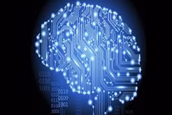 2. Đại não của chúng ta chỉ nặng hơn 1400 gram và não của đàn ông lớn hơn não của phụ nữ 10%. Song điều này không có nghĩa nam giới có nhiều khả năng hoặc thông minh hơn, não phụ nữ lại có nhiều tế bào thần kinh và khớp nối hơn, đồng thời hoạt động hiệu quả hơn não nam giới.