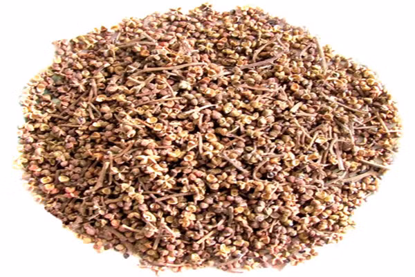 Nếu Hạt Tiêu chỉ hơi thơm thơm thì Mắc Khén lại có mùi thơm nồng hơn và không cay như ớt, mà Mắc Khén tạo ra vị tê rần rần nơi đầu lưỡi khi nếm thử! Dùng Mắc Khén để tẩm ướp để nướng cá, nướng thịt, hoặc pha đồ chấm thì hấp dẫn vô cùng.