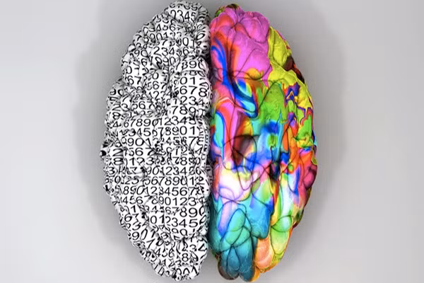 Tuy nhiên, số lượng tế bào thần kinh đệm (bao bọc quanh tế bào thần kinh và giữ chúng nằm yên tại ví trí) ở não bộ của Einstein nhiều hơn so với người bình thường. Điều này khiến chúng ta không thể đưa ra kết luận rằng người có đầu càng to thì càng thông minh.