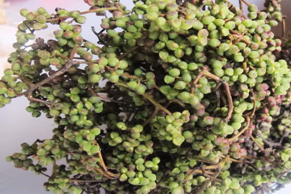 Cây Mắc khén là loại cây dại thuộc họ hồi, có tinh dầu và hương thơm. Quả mắc khén màu nâu sẫm, hạt đen óng, mùi vị hơi giống hạt tiêu. Quả của mắc khén được dùng như một loại gia vị tẩm ướp.