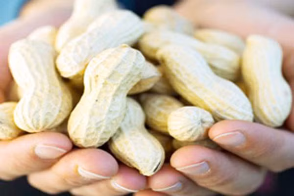  5. Ở Texas Roadhouse, bạn sẽ phạm tội nặng nếu ăn đậu phộng trong nhà thờ. 