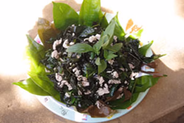 Riêng ở Lâm Đồng, món rau bép truyền thống là nướng rau bép trong ống nứa. Sau khi nướng, giã nhuyễn cùng gạo tấm ngâm sẵn và viên tròn cho vào nồi hấp, đem ra phơi từ 2 – 5 nắng rồi cất nấu dần cùng lươn, cá suối hay thịt. Món ăn này có mùi vị đậm đà, ngọt bùi khó quên, đặc biệt trong các dịp lễ hội, rau bép như một món đặc sản của núi rừng để tiếp đãi khách khứa và bạn bè.