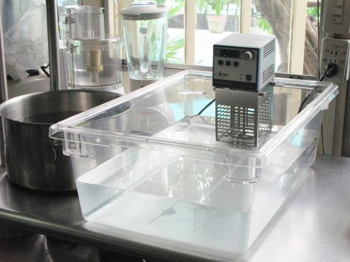 Túi nylon này sẽ được nằm trong bể nước nóng này từ vài giờ cho tới 72 giờ, tùy theo loại thịt. Chiếc máy Sous Vide sẽ giúp bạn nấu ăn cực nhanh và gọn.