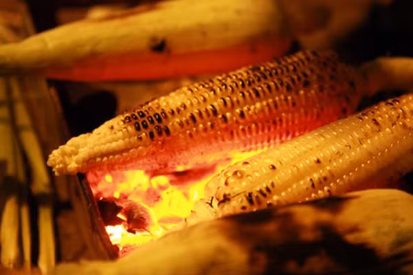 Ngô nướng. Từ rất lâu rồi, ngô nướng đã trở thành một món ăn vặt ưa thích của người Hà Nội mỗi dịp đông về, món quà vặt rẻ mà ấm bụng này có mặt khắp hang cùng ngõ hẻm ngay khi gió lạnh ùa về. Không chỉ ngon, ngọt thơm lừng mùi sữa, bếp than hồng nướng ngô cũng đủ sưởi ấm bất cứ tâm hồn lạnh giá nào rồi.