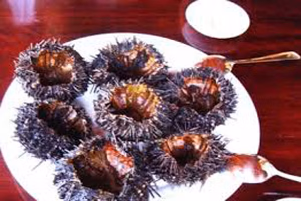  Mắm nhum. Xa xưa, còn gọi là mắm tiến vu, đủ để biết loại mắm này đặc biệt thế nào. Không phổ biến như các loại mắm khác, nhưng ai đã được thưởng thức một lần thì sẽ nhớ cả đời. Riêng nguyên liệu của mắm nhum đã là loại hiếm có khó tìm. Mắm được làm từ con nhum ở biển – loại hải sản ưu tiên trong xuất khẩu. 