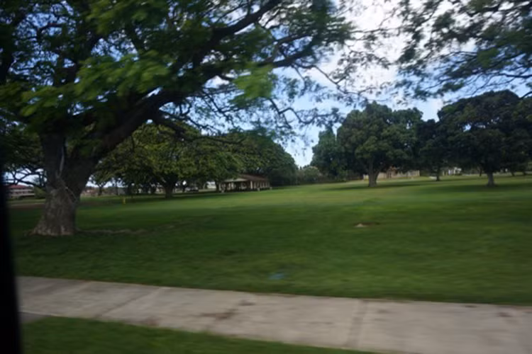 Căn cứ không quân Hickam là căn cứ của Lữ đoàn không quân số 15 và 67 đơn vị đối tác, trong đó có các trụ sở của Lực lượng Không quân Mỹ ở Thái Bình Dương (PACAF), lực lượng Vệ binh không quân quốc gia Hawaii và Không đoàn 154 của Lực lượng vệ binh không quân Hawaii. Vườn cây xanh mát dọc lối vào căn cứ không quân Hickam.