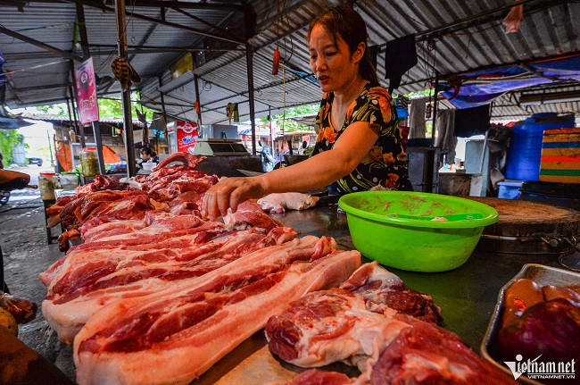 Giá lợn hơi tăng nóng, “ông lớn” ngành chăn nuôi lãi đậm Gia lon hoi tang nong, “ong lon” nganh chan nuoi lai dam