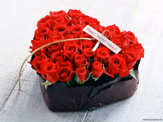 Hoa hồng là loài hoa biểu tượng của tình yêu. Tuy nhiên, tùy từng màu hoa mà ý nghĩa ẩn chứa lại khác nhau: Hoa hồng nhạt thể hiện thông điệp sẽ không có ai có thể thay thế được vị trí của em trong trái tim anh; Hoa hồng không gai bộc lộ tình yêu ngay từ ánh mắt đầu tiên, trọn đời bên nhau; Hoa hồng trắng thể hiện sự ngây thơ, trong trắng, một tình yêu thầm lặng, kín đáo nhưng rất mãnh liệt.