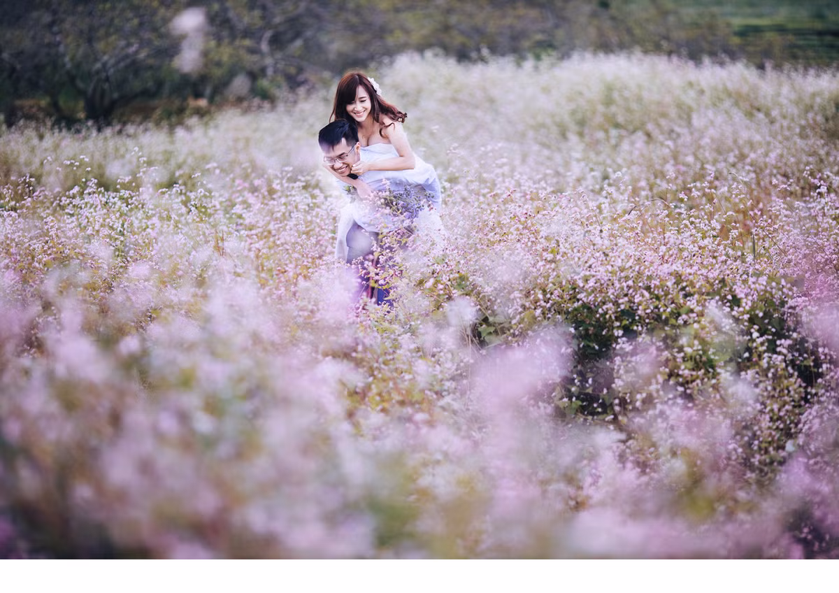 Mùa này hoa tam giác mạch ở Mộc Châu đang nở rộ. Đây là loài hoa mỗi lần nở đều làm quyến luyến biết bao bạn trẻ, mời gọi các phượt thủ từ khắp mọi miền cả nước lên đường.