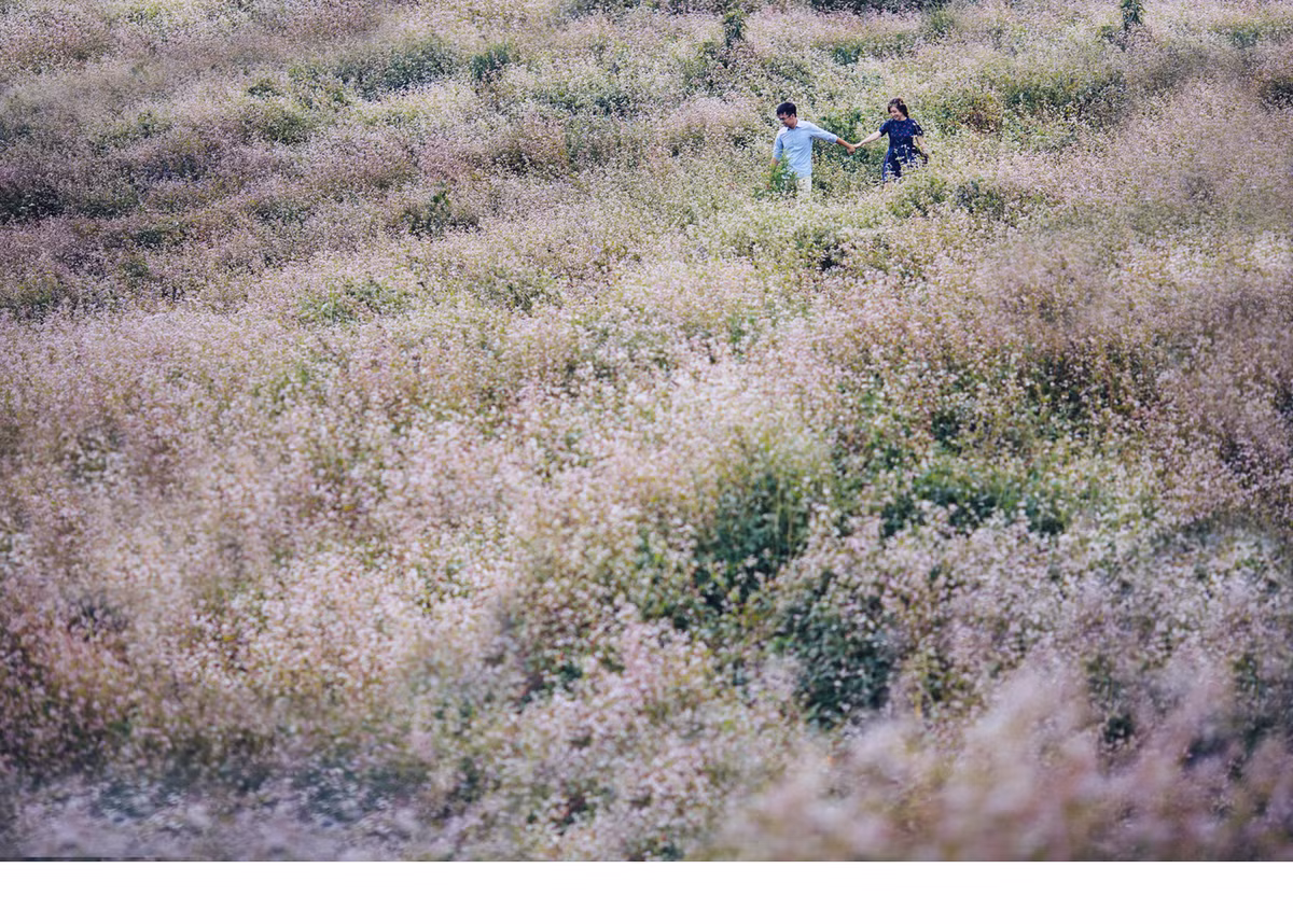 Vốn rất thích khung cảnh hữu tình của núi rừng Bắc Bộ, đặc biệt là cao nguyên Mộc Châu, cặp đôi Ánh – Tiến đã không ngần ngại lặn lội suốt 2 ngày giữa trời mưa gió để có thể ghi lại những bức ảnh độc đáo bên người mình yêu thương ngay tại mảnh đất này.