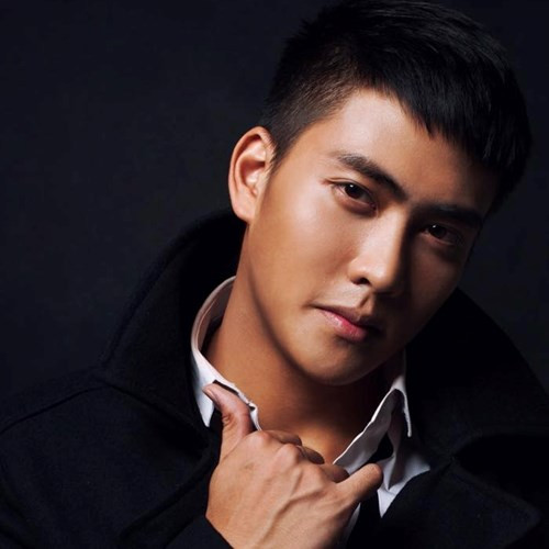 Bá Nam hiện đang công tác tại phòng Cảnh sát giao thông Công an TP Hà Nội. Là một CSGT đã có 5 năm trong nghề, ngoài ra, Bá Nam còn là một người mẫu ảnh không chuyên với ngoại hình nổi bật, bụng 6 múi rất nam tính. Gây sốt trên mạng, bá nam được nhiều cô gái khen ngợi là hot boy CSGT đẹp trai như soái ca trong truyện ngôn tình.