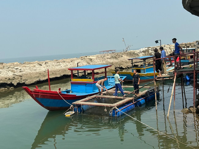 Vào thời điểm này, Khu ẩm thực mực nhảy Vũng Áng luôn tấp nập người và các phương tiện vào ra, bình quân mỗi ngày có hàng trăm du khách trong và ngoài địa bàn đổ về đây để thưởng thức mực nhảy, nhất là trong dịp nghỉ cuối tuần.