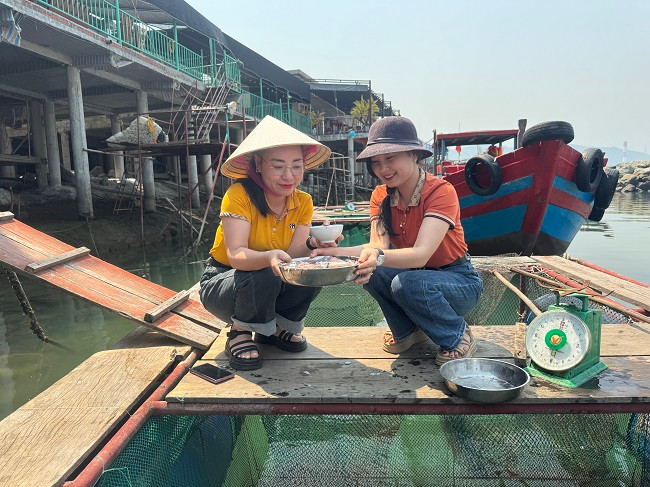 Để giữ được nguyên hương vị của mực, cũng như độ tươi ngon, có những thực khách xuống tại bè vớt mực lên ăn trực tiếp. Theo cảm nhận của các vị khách thì ăn mực gỏi sống có vị ngọt, thơm, giòn và không có mùi tanh.