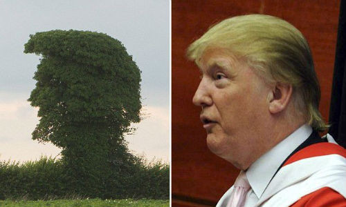 Jon, 36 tuổi, cho biết: "Tôi đang lái xe và đã thấy nó, ngay lập tức phát hiện ra sự giống nhau đến kỳ lạ".