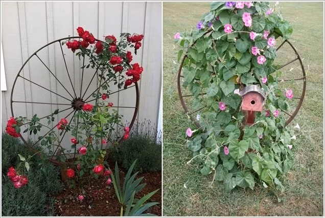 Một vườn treo đầy sáng tạo từ chiếc bánh xe cũ bỏ đi.