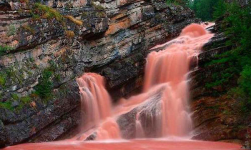 Nếu đến thăm thác nước Aameron Falls, tại Vườn quốc gia Waterton Lakes, Canada vào tháng 6 bạn sẽ thấy được dòng nước màu đỏ vô cùng kỳ lạ.
