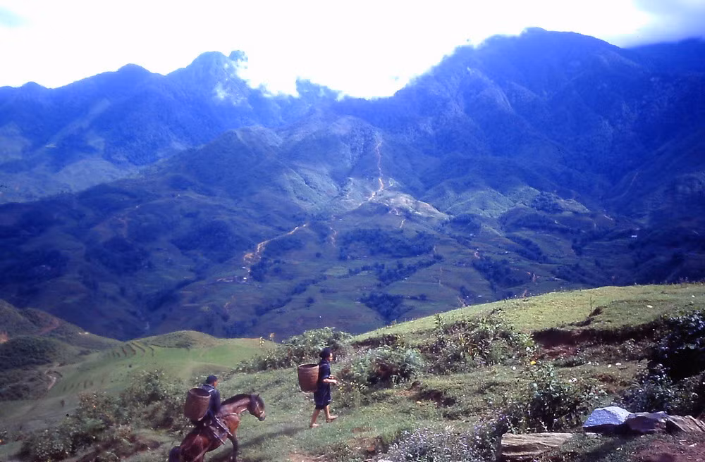 Phong cảnh ở Sapa.