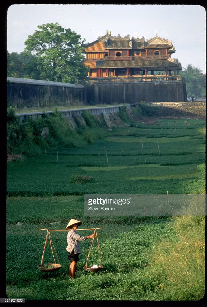 Người nông dân hái rau muống trên hào nước gần Ngọ Môn.