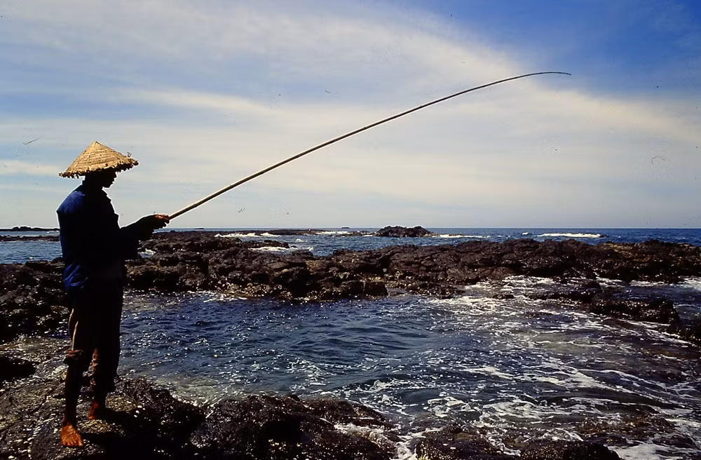Câu cá trên ghềnh đá.