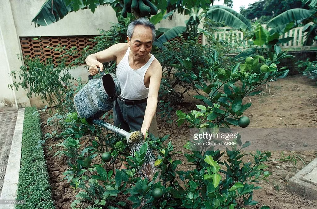Đại tướng chăm sóc cây cối trong vườn nhà, 1983.