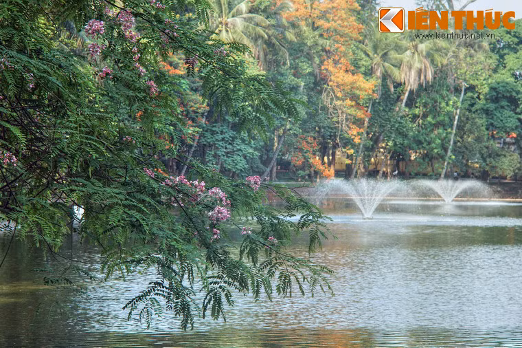 Sau đó chim thú được chuyển vào Thảo cầm viên Sài Gòn và ở Hà Nội đã có một khu nuôi động vật riêng là Vườn thú Thủ Lệ, Vườn Bách thảo lại trở về với tên gọi ban đầu.