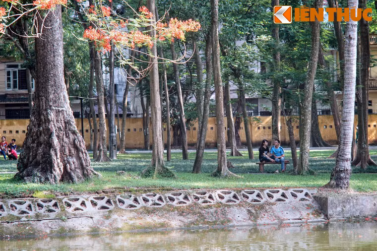 Hiện nay Vườn Bách thảo được ví như lá phổi xanh của Hà Nội, nơi những người yêu thiên nhiên được đắm mình trong màu xanh cây lá.