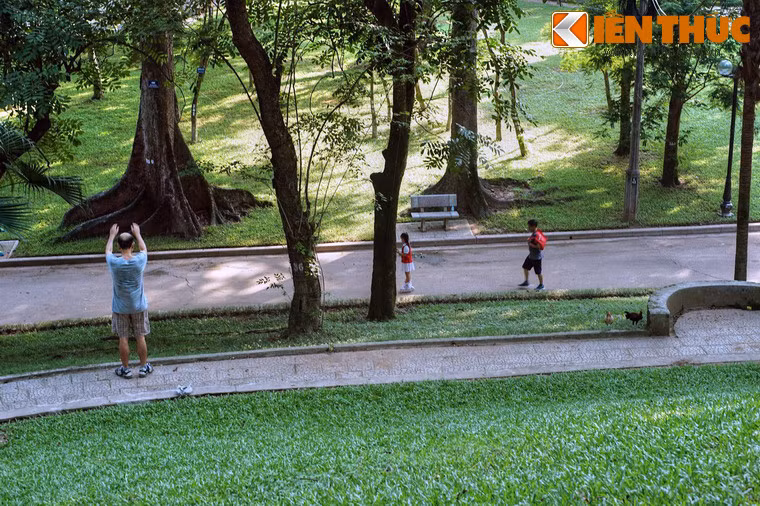 Ngoài các loại cây sẵn có, các nhà khoa học còn đưa về vườn các giống cây bản địa quý hiếm từ Bắc chí Nam cũng như trồng thí nghiệm các loài thực vật lạ từ nhiều vùng trên thế giới.