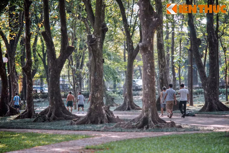 Khi thành lập vào năm 1890, vườn có diện tích trên 33ha, liền kề với quần thể các tòa nhà hành chính và biệt thự của người Pháp ở khu vực Ba Đình.