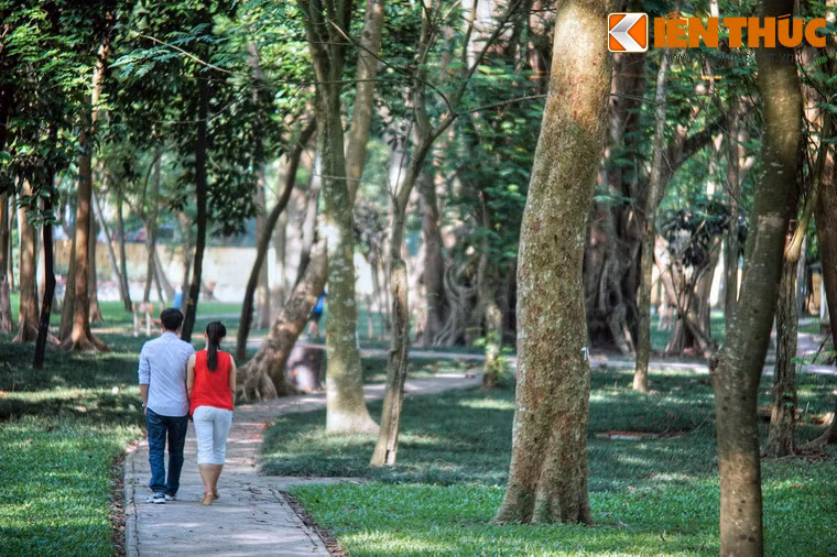 Trải qua nhiều thập niên, Vườn Bách thảo dần dần bị thu hẹp do quá trình đô thị hóa cùng một phần khá lớn diện tích được sử dụng để xây dựng các công trình thuộc khu trung tâm hành chính Ba Đình. Diện tích vườn chỉ còn trên 10ha, nằm trong địa phận phường Ngọc Hà, quận Ba Đình.