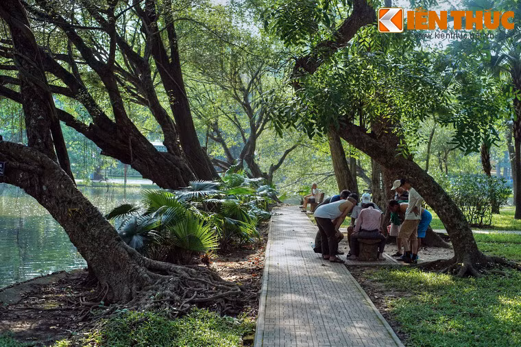 Có một thời kỳ, rải rác theo các lối đi trong vườn người ta cho xây các chuồng nuôi chim thú. Do đó, Vườn Bách thảo còn được gọi là Vườn thú.